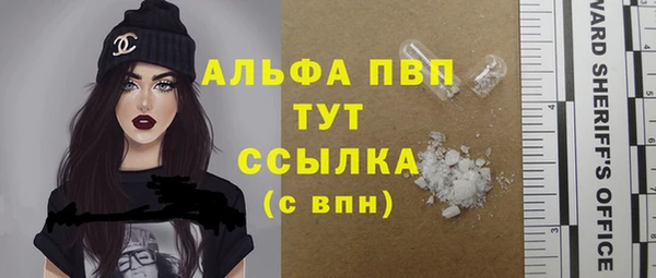 амф Осташков