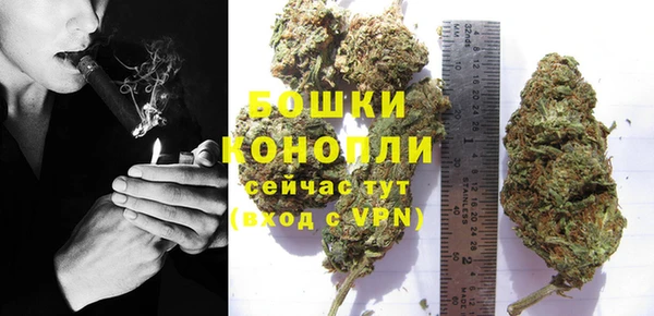 не бодяженный Пересвет