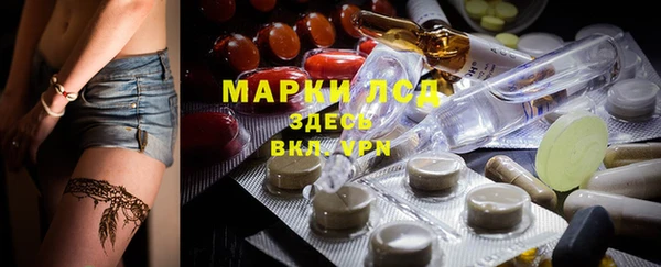 амф Осташков