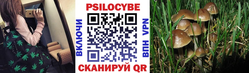 Галлюциногенные грибы мухоморы  Холмск 