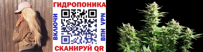 МАРИХУАНА OG Kush Холмск